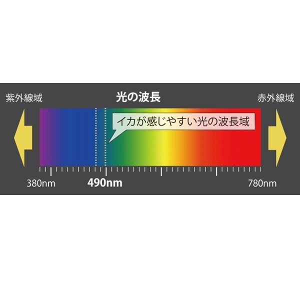 エギ王LIVE 3.5